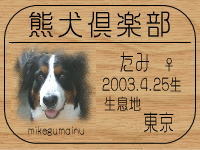 �I�[�i�[�́A�Ђł���ł���